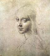 LEONARDO da Vinci Head of a girl oil painting reproduction